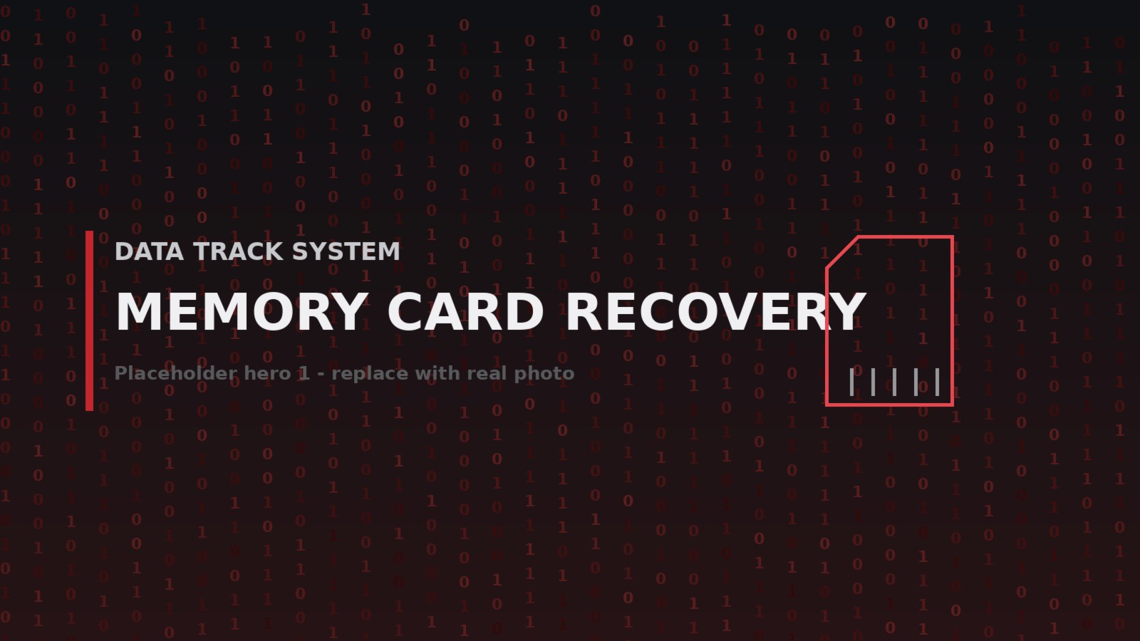 Memory card recovery — Data Track System, Indore (1)