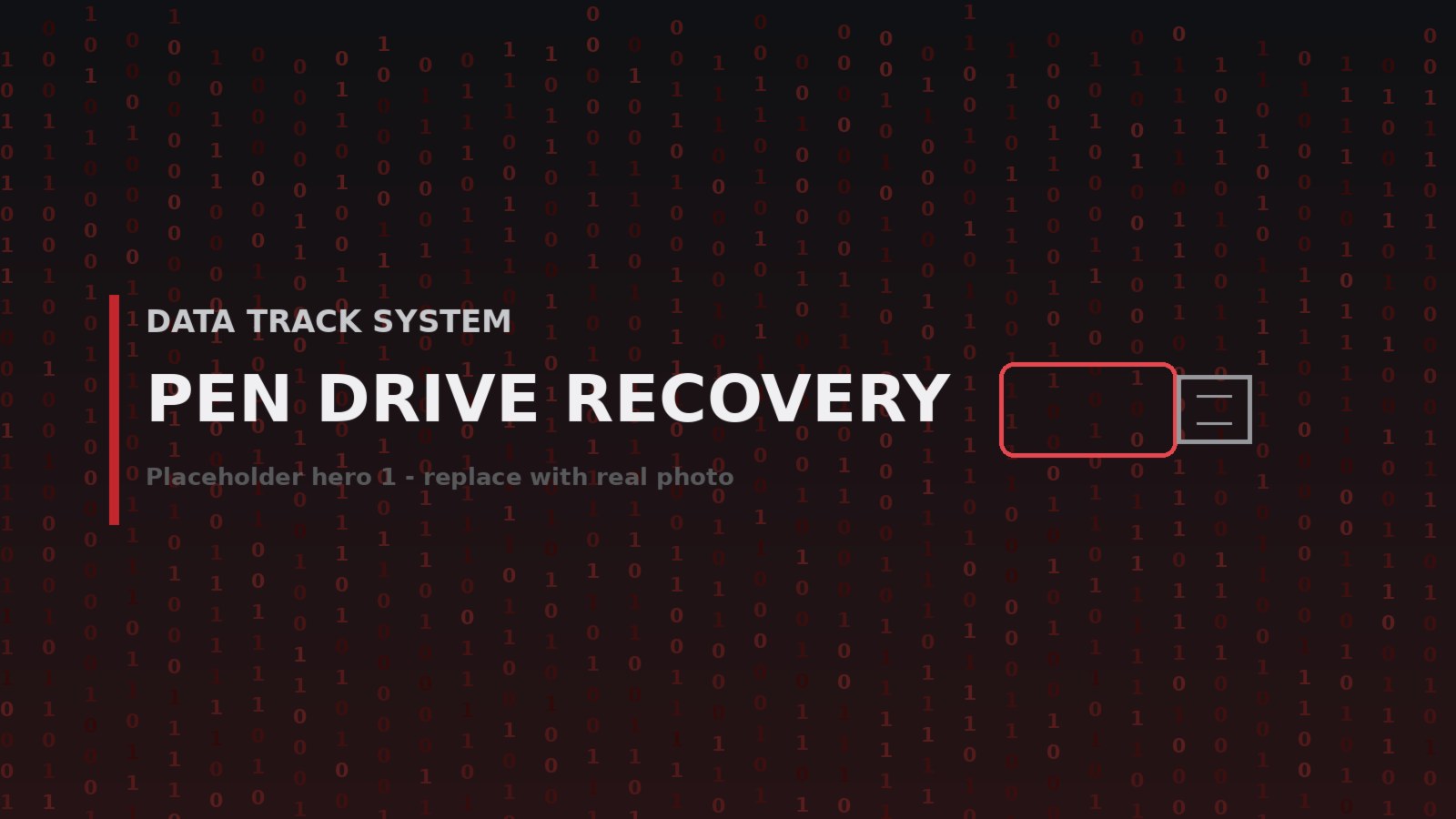 Pen drive recovery — Data Track System, Indore (1)