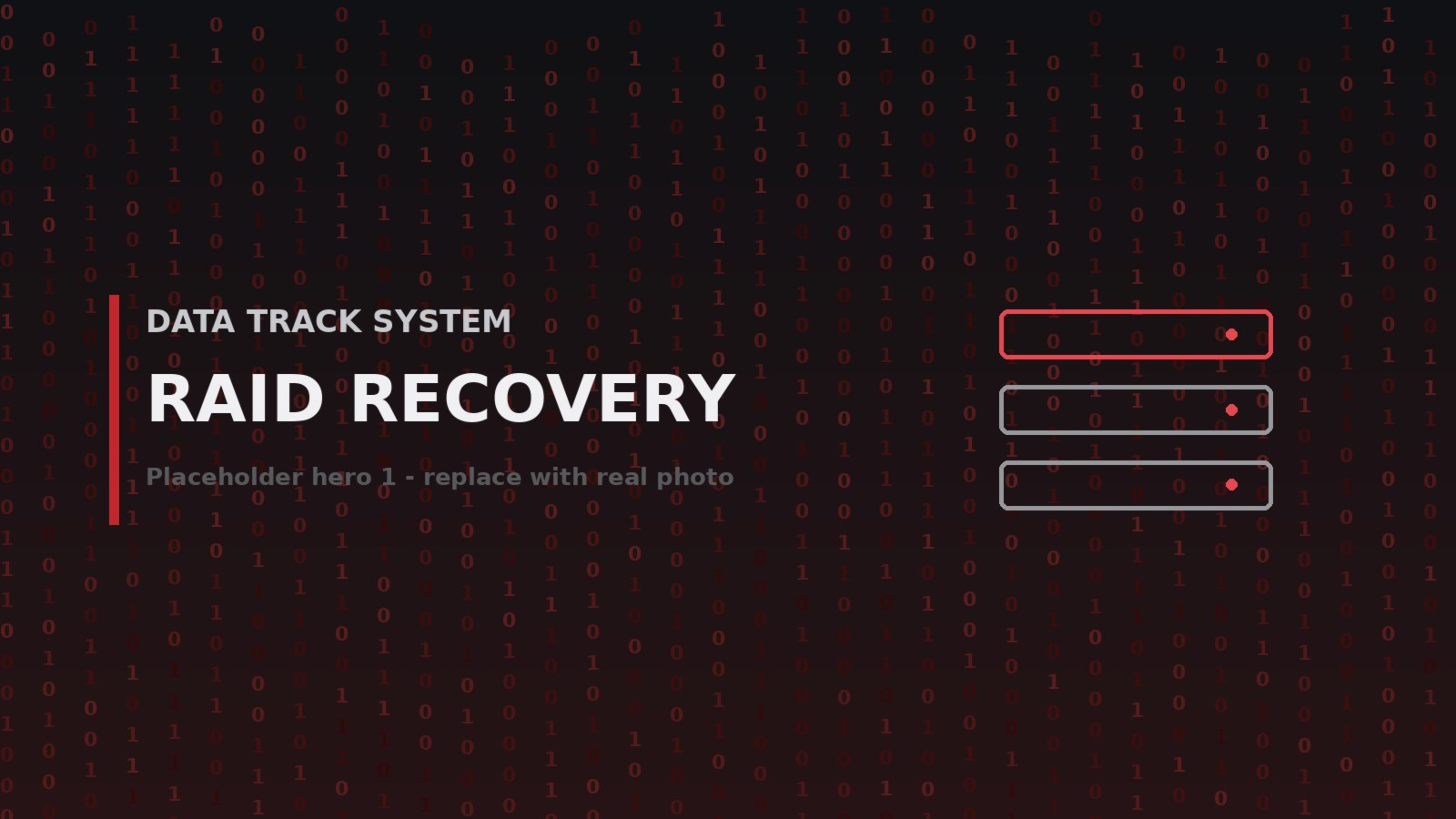 RAID array recovery — Data Track System, Indore (1)